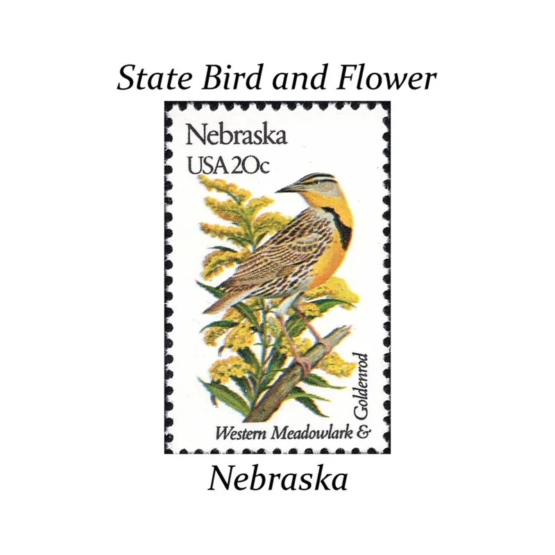 Goldenrod on a stamp with Nebraska's state bird