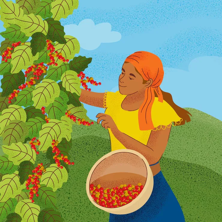 Coffee farmer marketing