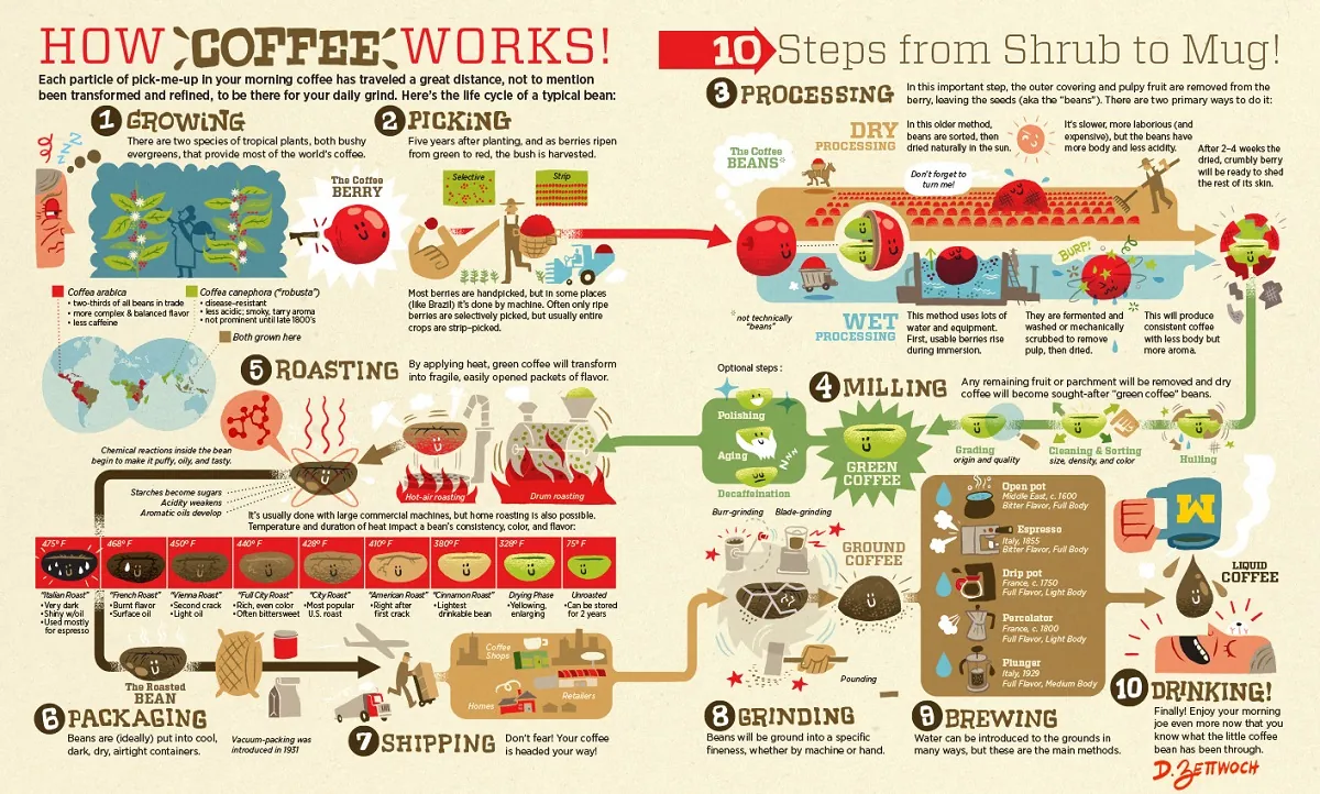 Coffee supply chain illustration
